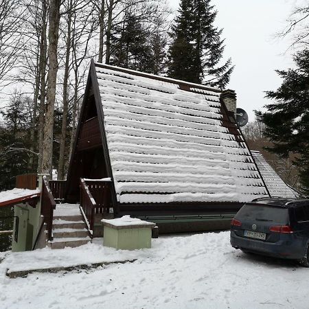 Koca Planika, Sviscaki Villa Ilirska Bistrica Exterior photo