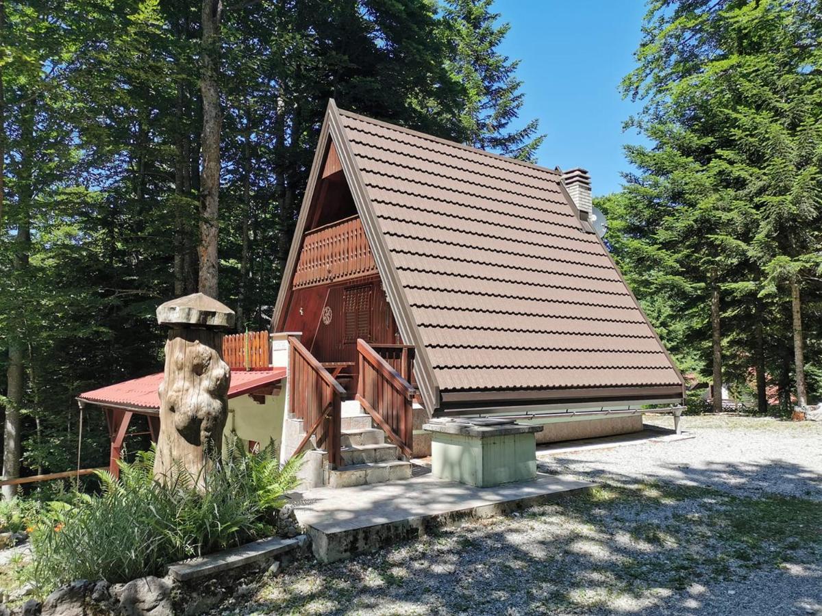 Koca Planika, Sviscaki Villa Ilirska Bistrica Exterior photo