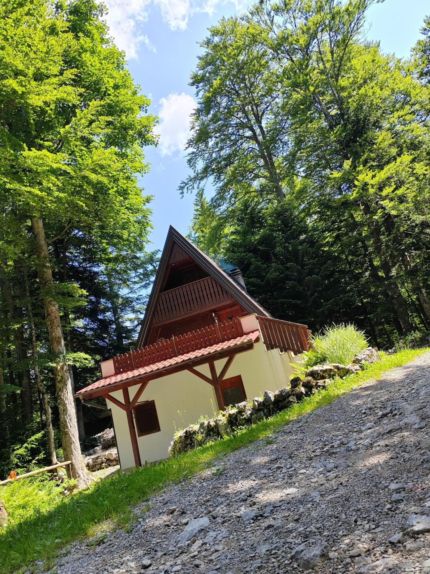 Koca Planika, Sviscaki Villa Ilirska Bistrica Exterior photo